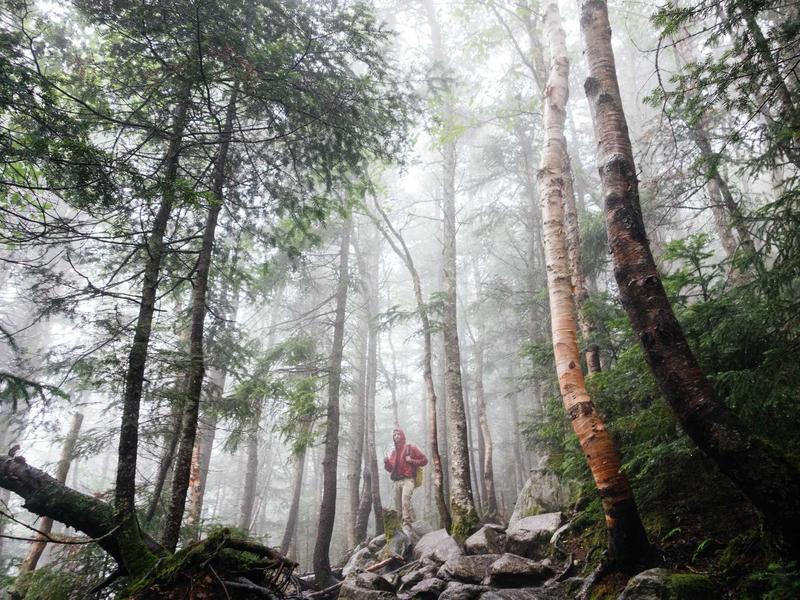 Dealer's Choice Auto — Full-service auto shop with online booking and service menus